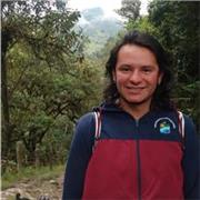 Docente de ciencias naturales, puedo apoyar las áreas de física, química y biología